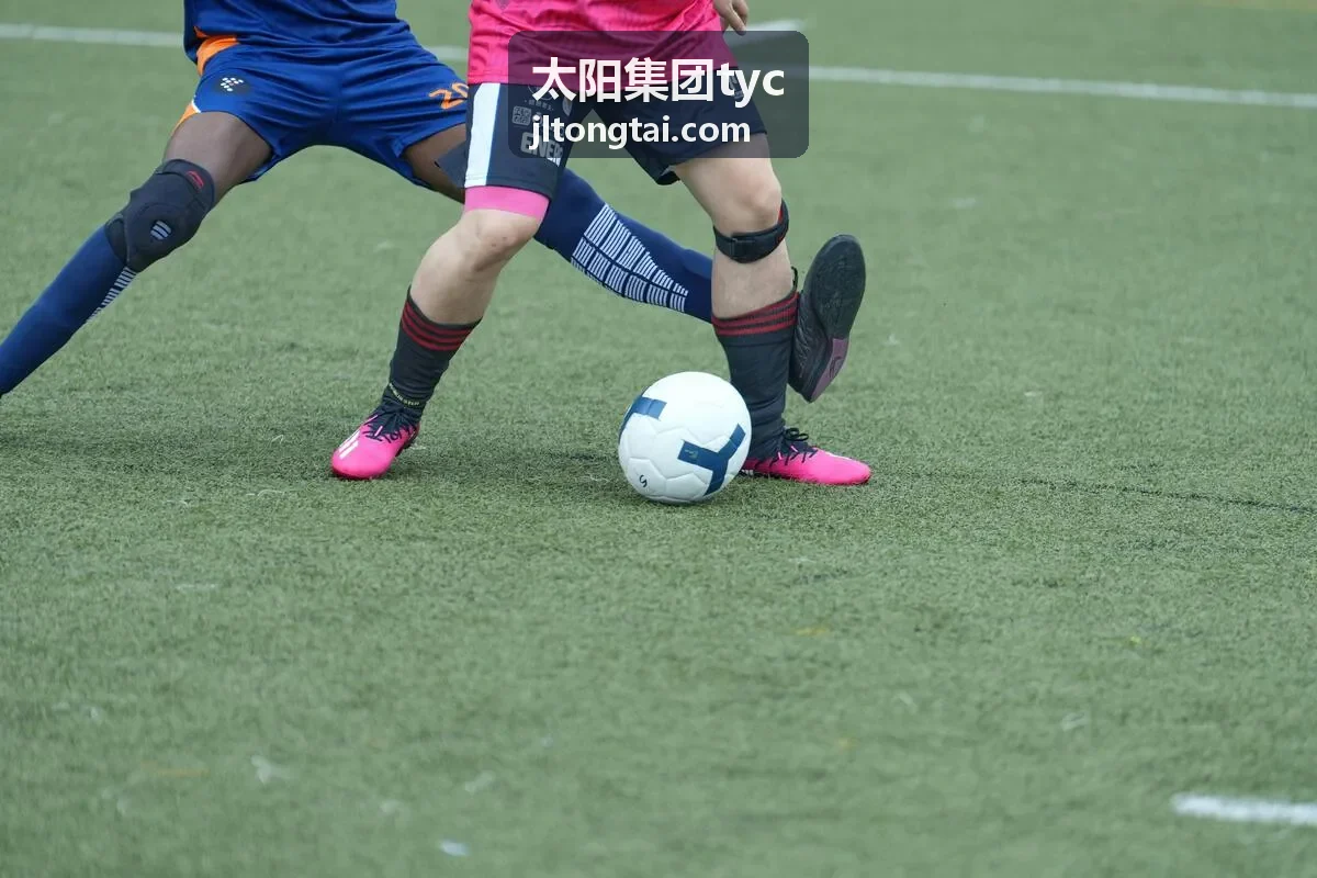 太阳集团tyc案例能源